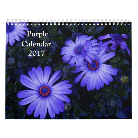 2017 Violetter Kalender (Titelbild)