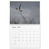 2017 Vögel Nordamerika Kalender (Feb 2027)