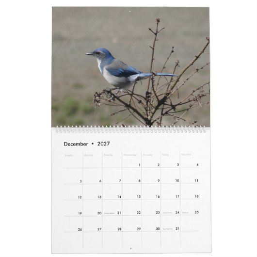 2017 Vögel Nordamerika Kalender (Dez 2027)