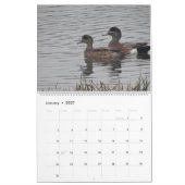 2017 Vögel Nordamerika Kalender (Jan 2027)