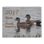 2017 Vögel Nordamerika Kalender (Titelbild)