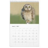 2017 Wandkalender für Eulen-Liebhaber (Mär 2027)