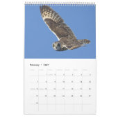 2017 Wandkalender für Eulen-Liebhaber (Feb 2027)
