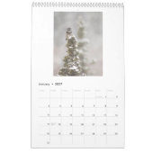 2017 Wandkalender für Eulen-Liebhaber (Jan 2027)