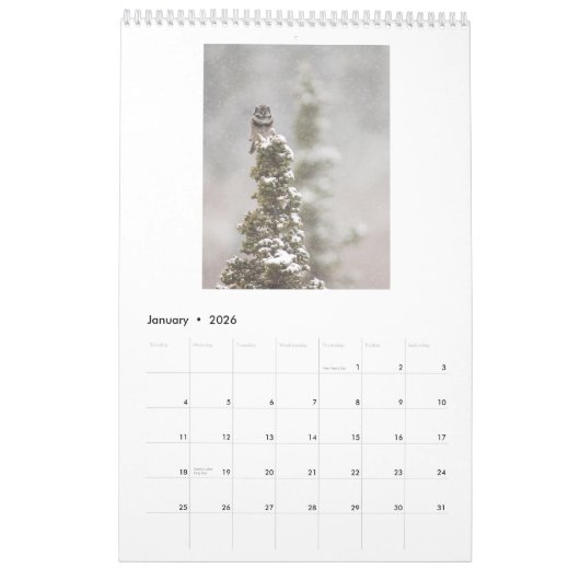 2017 Wandkalender für Eulen-Liebhaber (Jan 2026)