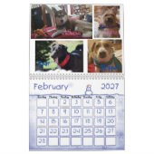 2017 Witzboldewiggle-u. Kalender (Feb 2027)