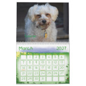 2017 Witzboldewiggle-u. Kalender (Mär 2027)