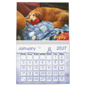 2017 Witzboldewiggle-u. Kalender (Jan 2027)