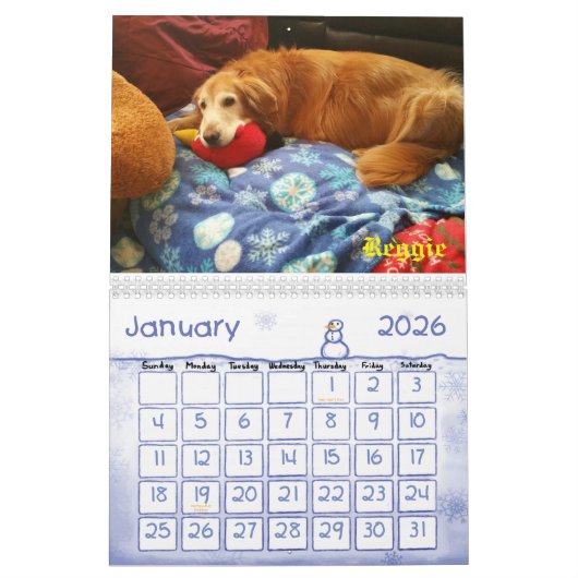 2017 Witzboldewiggle-u. Kalender (Jan 2026)