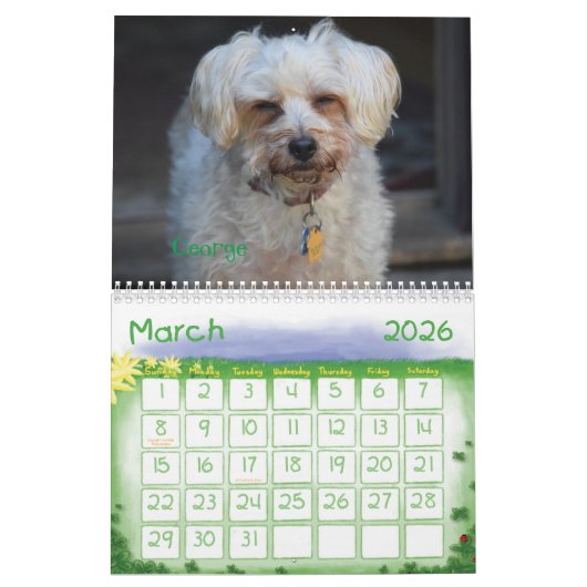 2017 Witzboldewiggle-u. Kalender (Mär 2026)