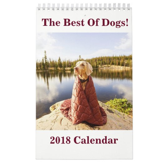 2018 das Beste der Hunde! Kalender (Titelbild)