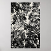 2018 durch die Bäume | SVP-Bilder Poster (Vorne)