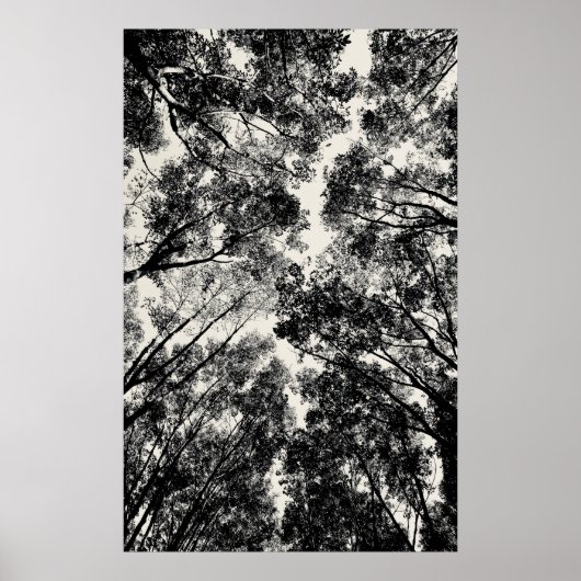 2018 durch die Bäume | SVP-Bilder Poster (Vorne)