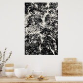 2018 durch die Bäume | SVP-Bilder Poster (Küche)