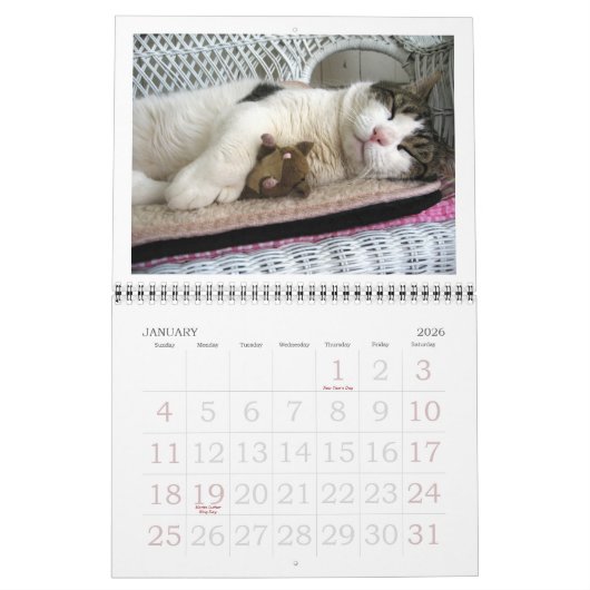 2018 FATBOY BABUSHKA CALENDAR KALENDER (Jan 2026)