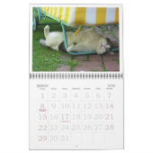 2018 FATBOY BABUSHKA CALENDAR KALENDER (Mär 2026)