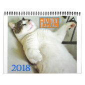 2018 FATBOY BABUSHKA CALENDAR KALENDER (Titelbild)
