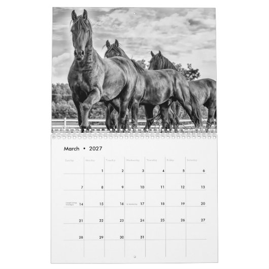 2018 friesisches Rindstallions-Kalender Kalender (Mär 2027)