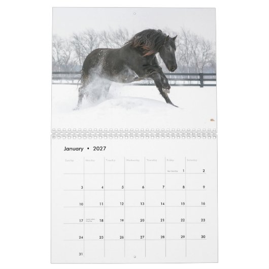 2018 friesisches Rindstallions-Kalender Kalender (Jan 2027)