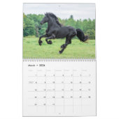 2018 friesisches Rindstuten-, Fohlen-und Kalender (Mär 2026)