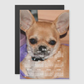 2018 Kalender Chihuahua Magnetic Foto Card 12x18 Magnetkarte (Vorne/Hinten)