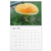 2018 Landschaftskalender Kalender (Mär 2026)