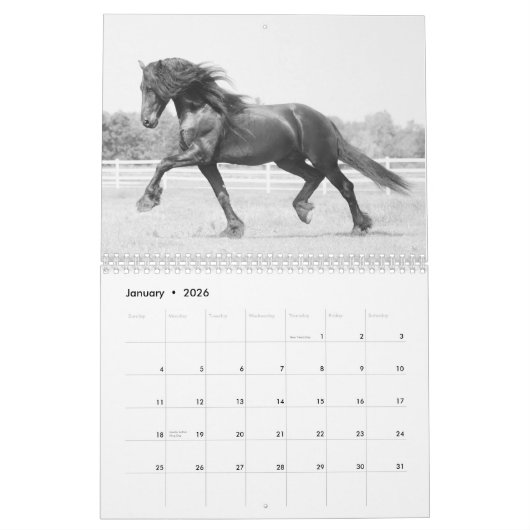 2018 majestätischer Rind-Kalender Kalender (Jan 2026)
