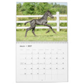 2018 majestätischer Rind-Kalender Kalender (Mär 2027)