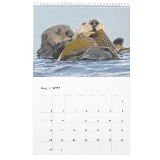 2018 Mauer-Kalender - ins Wilde Kalender (Mai 2027)