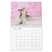 2018 seidenes Windhounds (anderes) Kalender (Jan 2027)