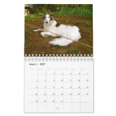 2018 seidenes Windhounds (anderes) Kalender (Mär 2027)