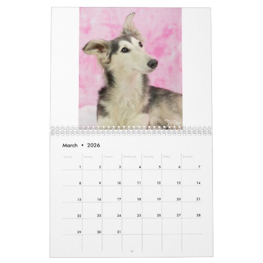 2018 seidenes Windhounds (Hauptschüsse) Kalender (Mär 2026)