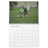 2018 seidenes Windhounds (in der Aktion) Kalender (Jan 2027)