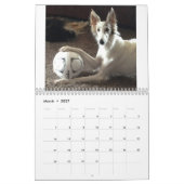 2018 seidenes Windhounds (in der Aktion) Kalender (Mär 2027)
