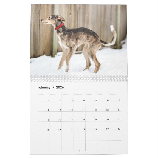 2018 seidenes Windhounds (in der Aktion) Kalender (Feb 2026)