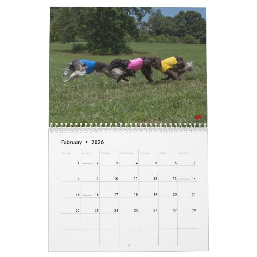 2018 seidenes Windhounds (mehrfache Hunde) Kalender (Feb 2026)