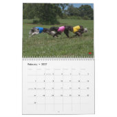 2018 seidenes Windhounds (mehrfache Hunde) Kalender (Feb 2027)