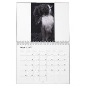 2018 seidenes Windhounds (voller Körper) 3 Kalender (Mär 2027)