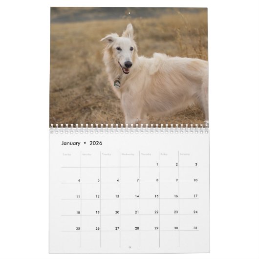 2018 seidenes Windhounds (voller Körper) 3 Kalender (Jan 2026)
