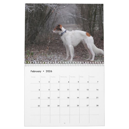 2018 seidenes Windhounds (voller Körper) 3 Kalender (Feb 2026)