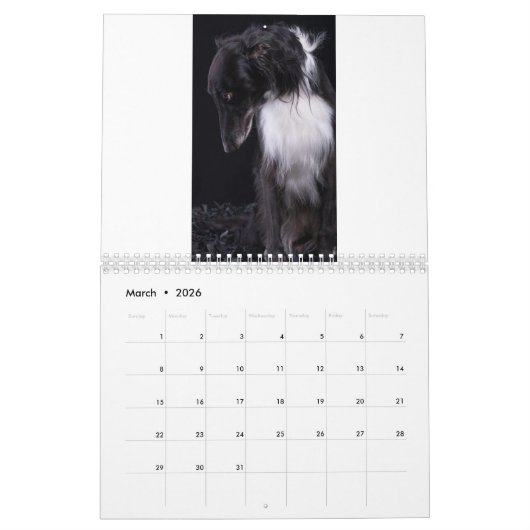 2018 seidenes Windhounds (voller Körper) 3 Kalender (Mär 2026)