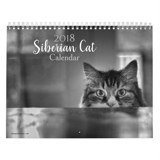 2018 Sibirier-Katzen-Kalender Kalender (Titelbild)