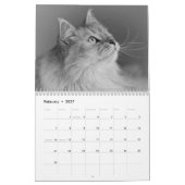 2018 Sibirier-Katzen-Kalender Kalender (Feb 2027)