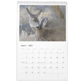 2018 Tier-Wandkalender - Tier-Fotografie Kalender (Mär 2027)