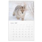 2018 Tier-Wandkalender - Tier-Fotografie Kalender (Jan 2027)