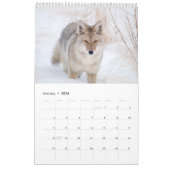 2018 Tier-Wandkalender - Tier-Fotografie Kalender (Jan 2026)