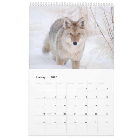 2018 Tier-Wandkalender - Tier-Fotografie Kalender (Jan 2026)
