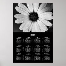 2018 Wall Calendar African Daisy Poster