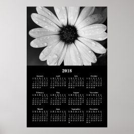 2018 Wall Calendar African Daisy Poster