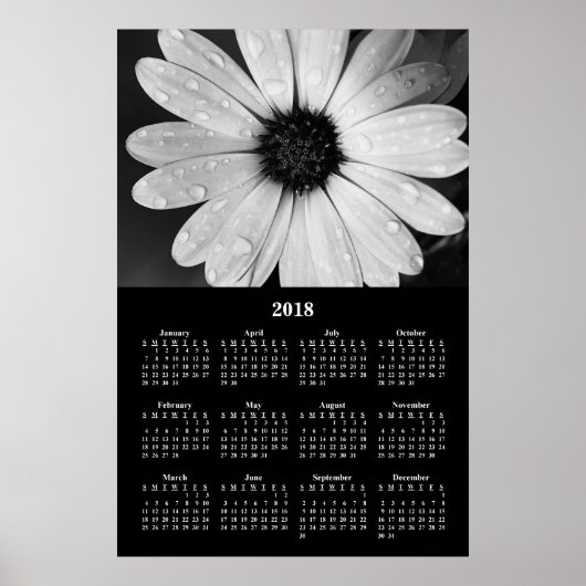 2018 Wall Calendar African Daisy Poster (Vorne)